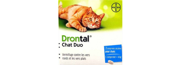 Antiparasitaires internes pour chat